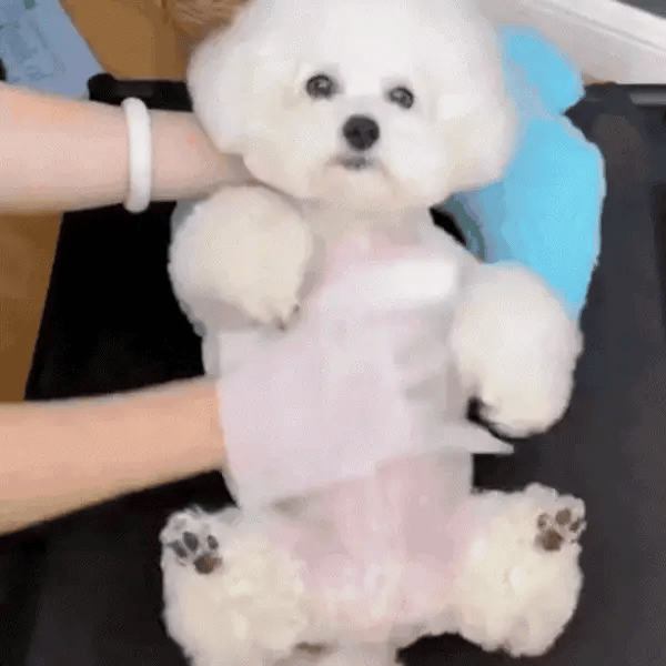 Pet Wiping Gloves (6 Pack)