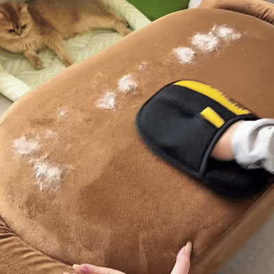 FurFree™ Pet Hair Removal Glove