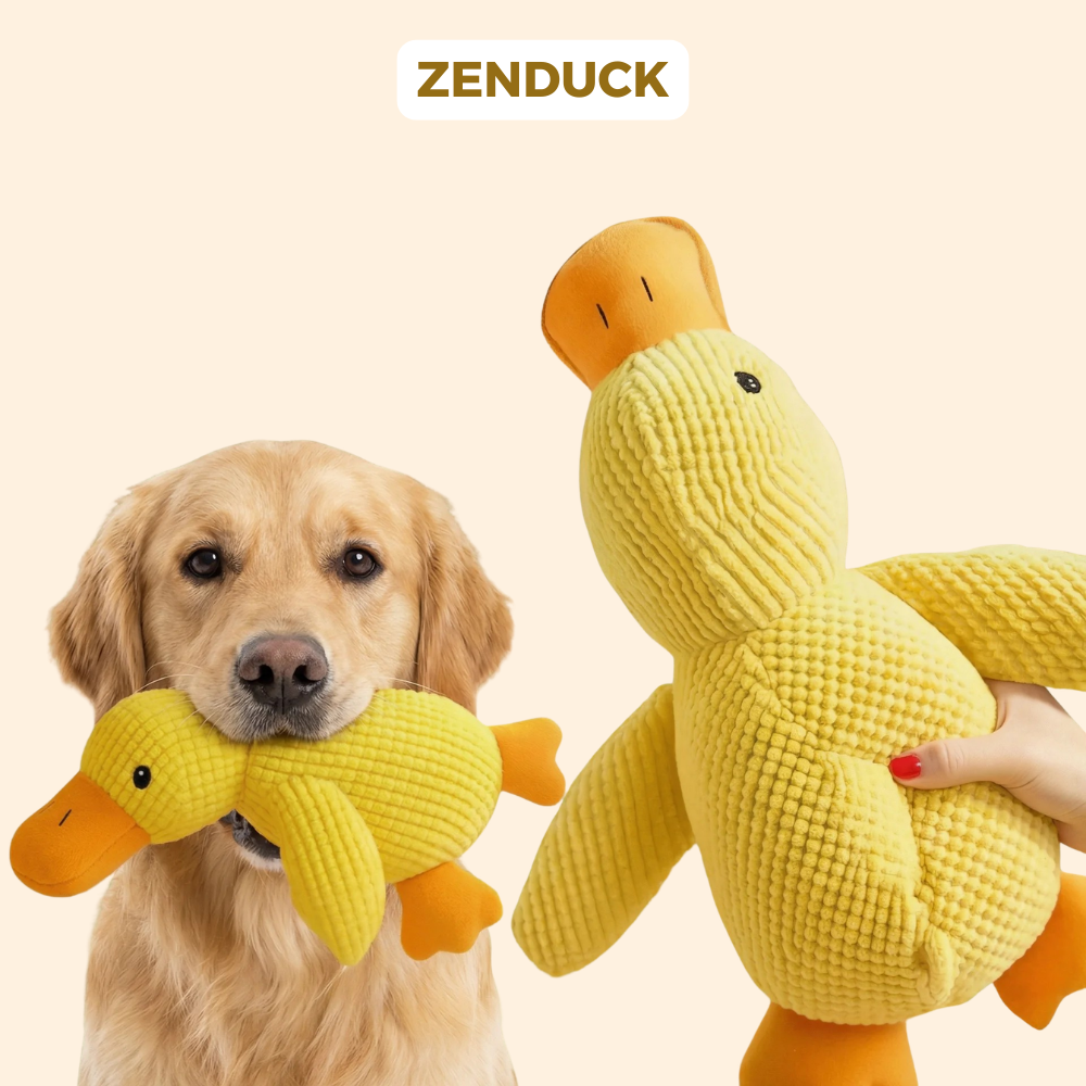 MagicPet™ - ZenDuck