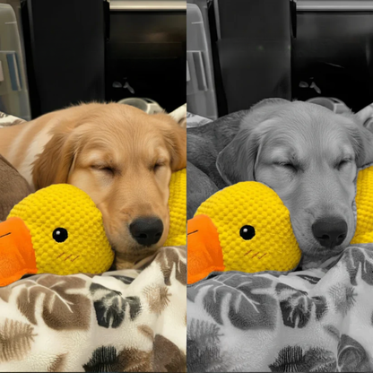 MagicPet™ - ZenDuck