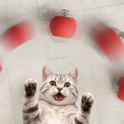 ZippyBall™ - Interactive Cat Ball