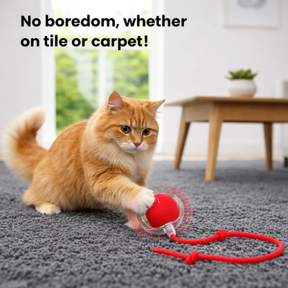 ZippyBall™ - Interactive Cat Ball