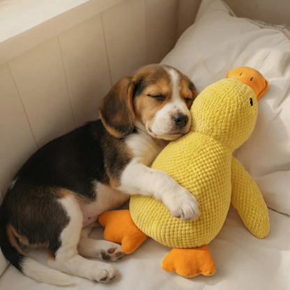 MagicPet™ - ZenDuck