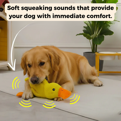 MagicPet™ - ZenDuck