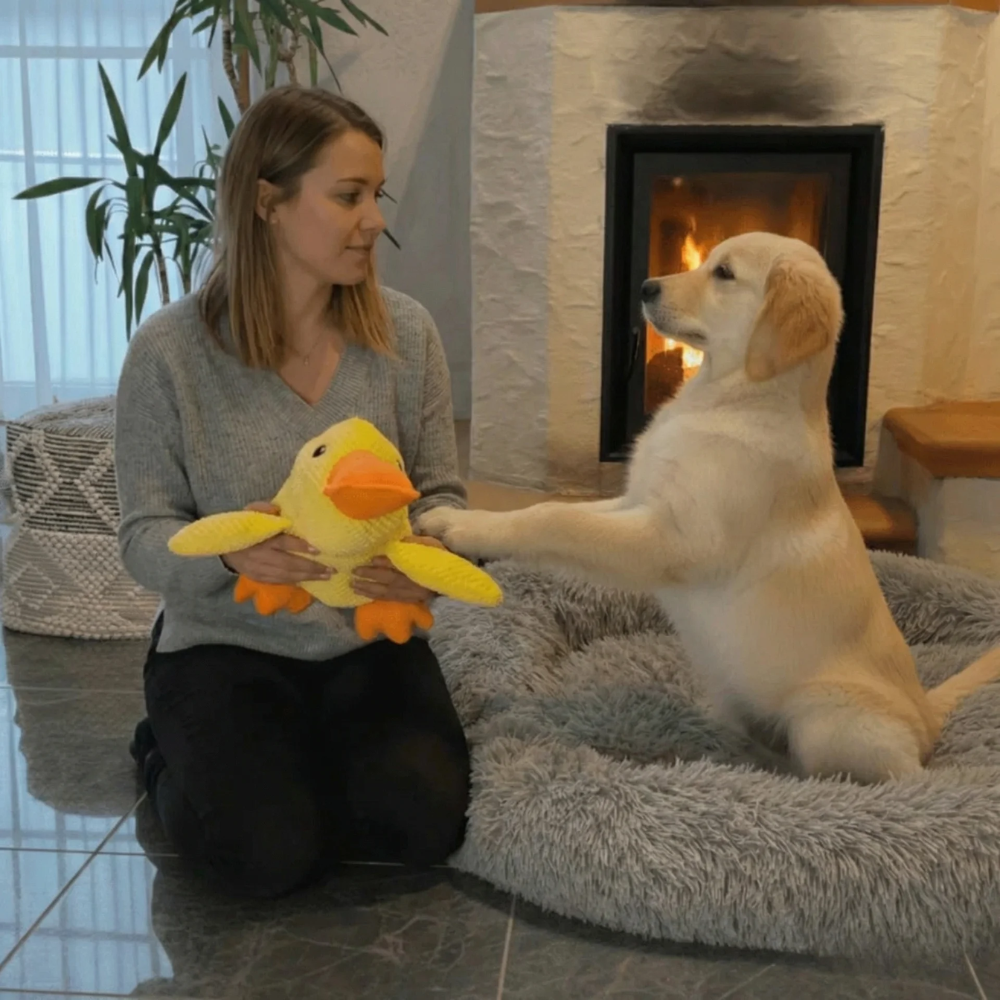 MagicPet™ - ZenDuck