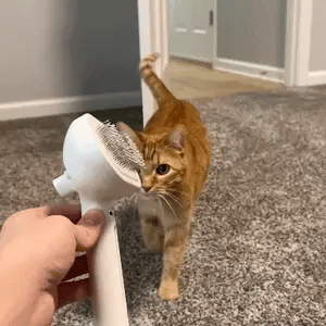 MagicPet SteamBrush Pro™