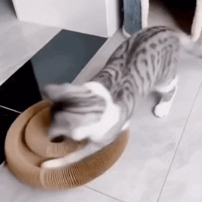 MagicPet™ KittyScratch