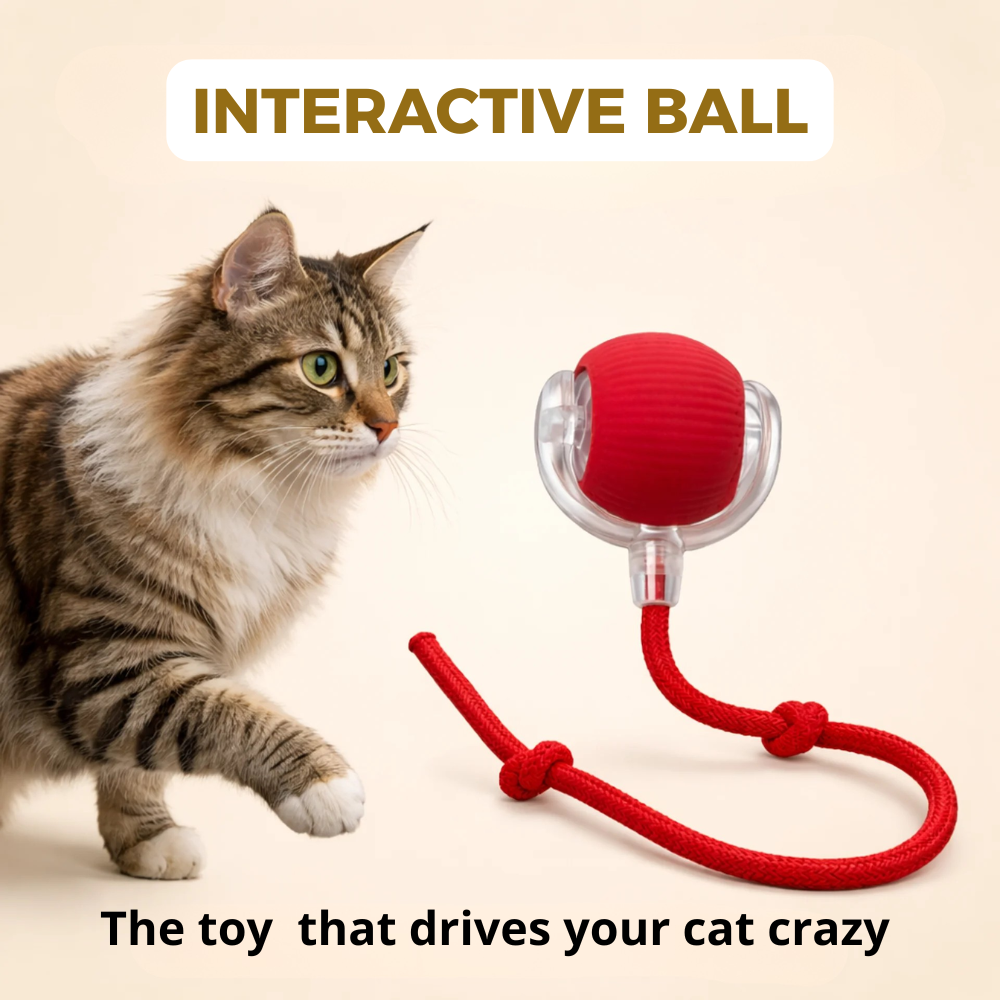 ZippyBall™ - Interactive Cat Ball