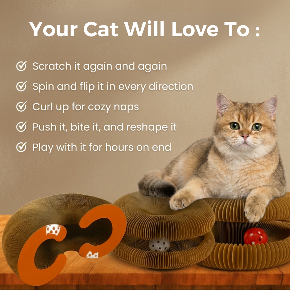 MagicPet™ KittyScratch