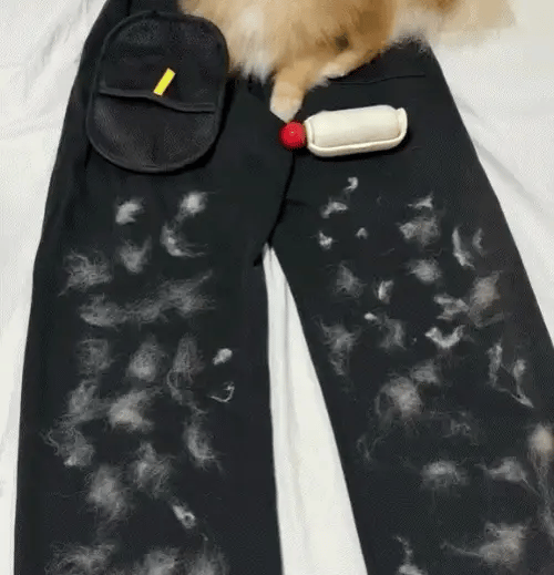MagicPet™ Pet Hair Removal Glove