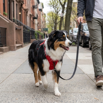 MagicPet™ No-Pull Harness