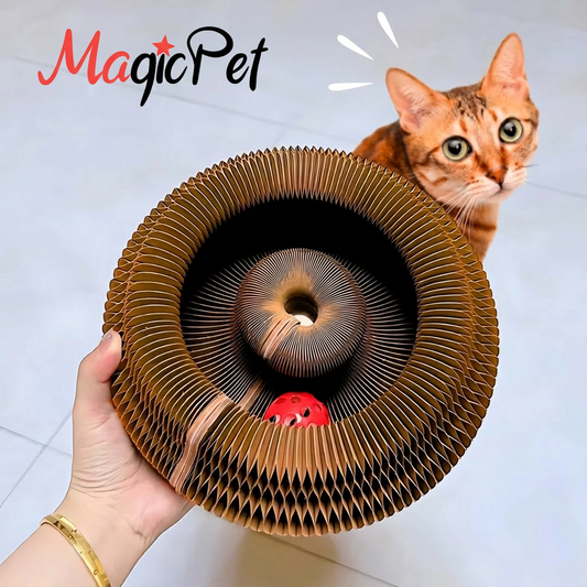 MagicPet™ KittyScratch