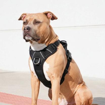 MagicPet™ No-Pull Harness